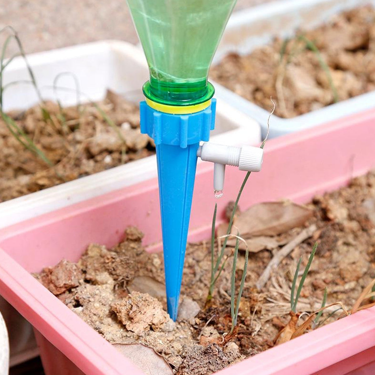 A blue watering spike with a clear bottle inserted into a pink planter box with dry soil.