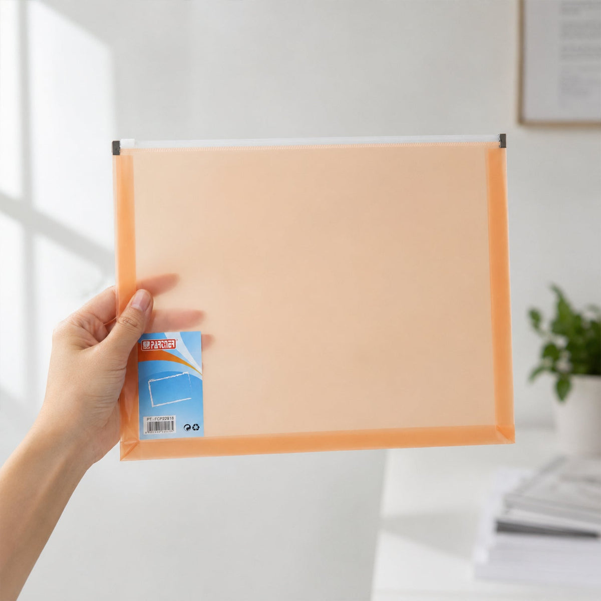File folder open view