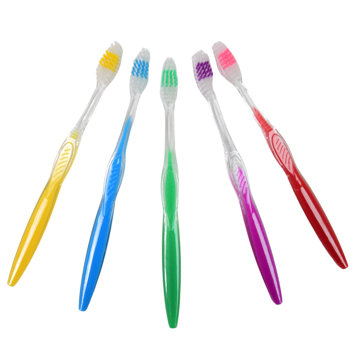 Five colorful toothbrushes with clear plastic handles are arranged in a semi-circle on a white background.