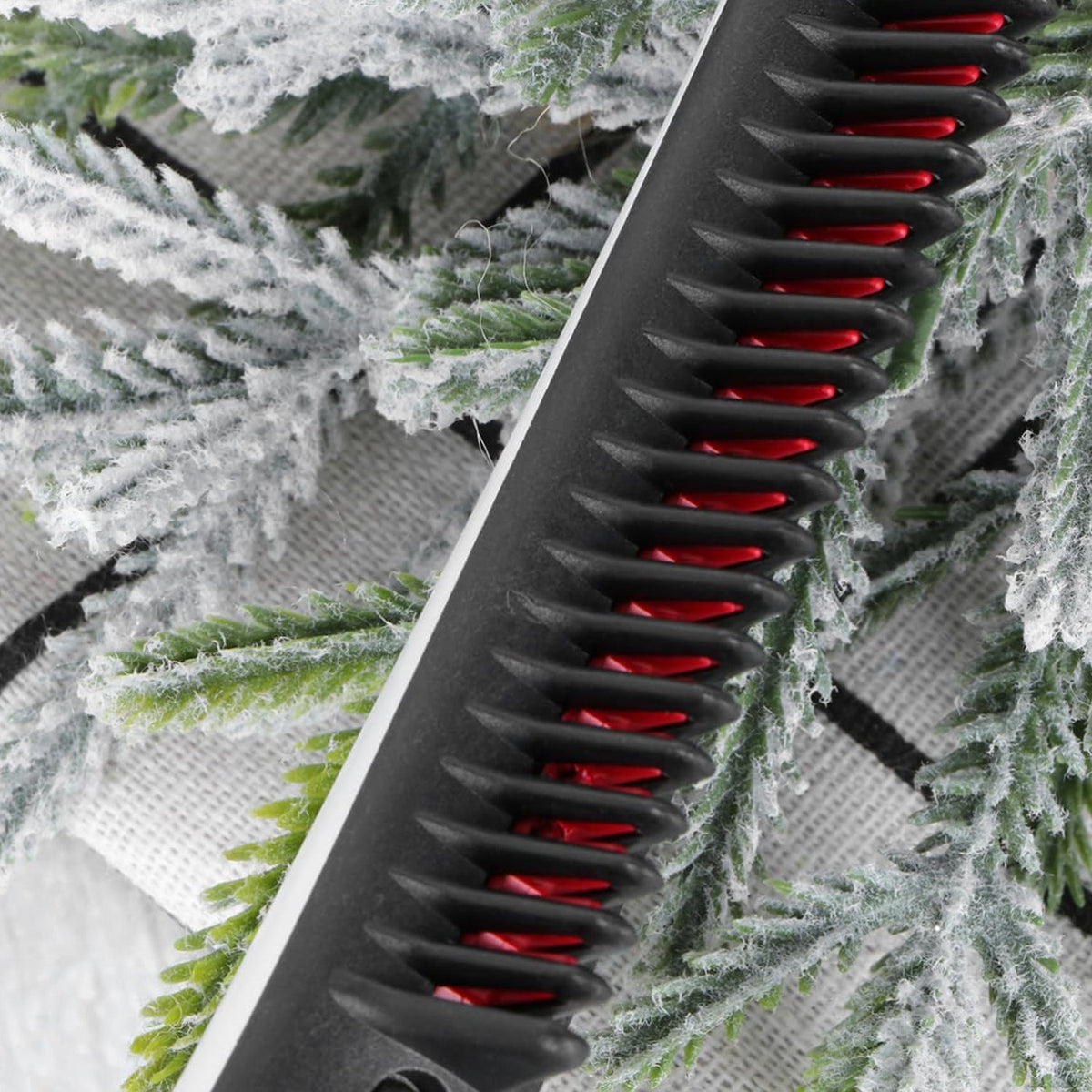 A close-up shows the black comb with red bristles, against a background of frosted green foliage.