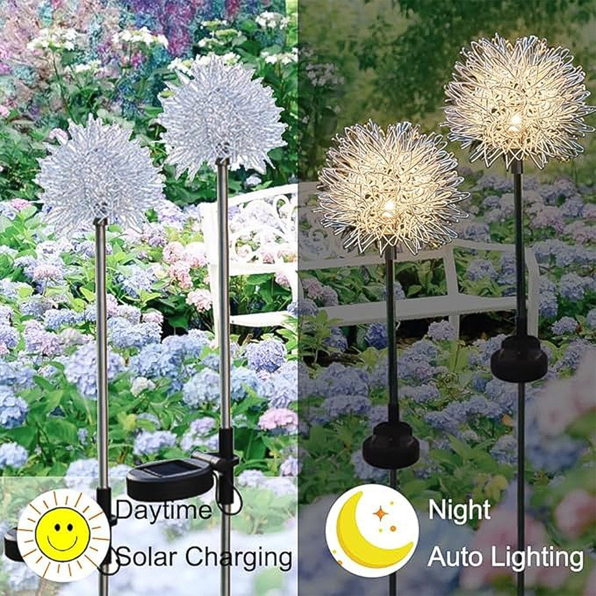 A split image showing two silver dandelion solar lights in a garden during daytime and glowing warm white at night.