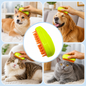 A person brushes a Shiba Inu, Golden Retriever, long-haired cat, and short-haired cat with a lime green and orange brush.