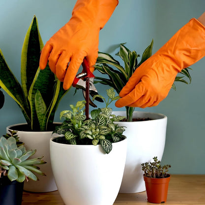 A person's hands in orange rubber gloves prune a small green plant with red clippers among several potted plants.