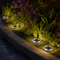 Four silver solar ground lights illuminate a garden bed with purple flowers and green foliage at night.